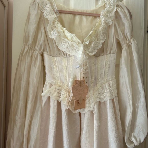 lacemade psyche corset dress nwt - Picture 8 of 10